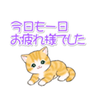 気持ち伝える まんまるチビ猫たち（個別スタンプ：5）