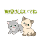 気持ち伝える まんまるチビ猫たち（個別スタンプ：7）