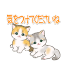 気持ち伝える まんまるチビ猫たち（個別スタンプ：8）