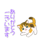 気持ち伝える まんまるチビ猫たち（個別スタンプ：11）