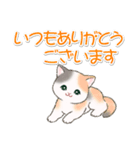 気持ち伝える まんまるチビ猫たち（個別スタンプ：12）