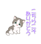 気持ち伝える まんまるチビ猫たち（個別スタンプ：13）