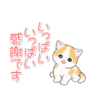 気持ち伝える まんまるチビ猫たち（個別スタンプ：14）