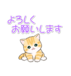 気持ち伝える まんまるチビ猫たち（個別スタンプ：15）