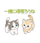 気持ち伝える まんまるチビ猫たち（個別スタンプ：18）