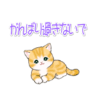 気持ち伝える まんまるチビ猫たち（個別スタンプ：19）