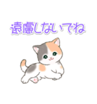 気持ち伝える まんまるチビ猫たち（個別スタンプ：20）