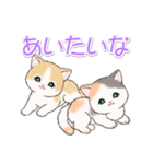 気持ち伝える まんまるチビ猫たち（個別スタンプ：22）