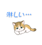 気持ち伝える まんまるチビ猫たち（個別スタンプ：25）