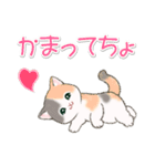 気持ち伝える まんまるチビ猫たち（個別スタンプ：26）