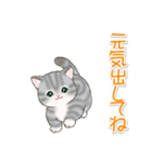 気持ち伝える まんまるチビ猫たち（個別スタンプ：31）