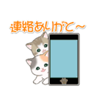 気持ち伝える まんまるチビ猫たち（個別スタンプ：34）