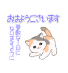 気持ち伝える まんまるチビ猫たち（個別スタンプ：38）