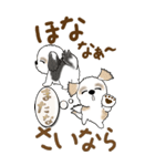 【Big】シーズー犬 86『関西弁』（個別スタンプ：40）
