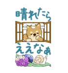 【Big】ちゃちゃ丸 24『関西弁』（個別スタンプ：14）