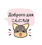 ちらっとニコちゃんとわんこ ウクライナ語（個別スタンプ：3）