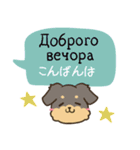 ちらっとニコちゃんとわんこ ウクライナ語（個別スタンプ：4）