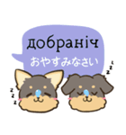 ちらっとニコちゃんとわんこ ウクライナ語（個別スタンプ：5）