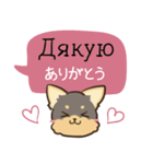 ちらっとニコちゃんとわんこ ウクライナ語（個別スタンプ：6）