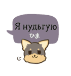 ちらっとニコちゃんとわんこ ウクライナ語（個別スタンプ：10）