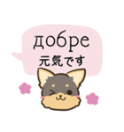 ちらっとニコちゃんとわんこ ウクライナ語（個別スタンプ：18）