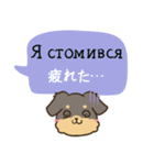 ちらっとニコちゃんとわんこ ウクライナ語（個別スタンプ：19）