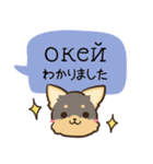 ちらっとニコちゃんとわんこ ウクライナ語（個別スタンプ：22）