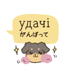 ちらっとニコちゃんとわんこ ウクライナ語（個別スタンプ：23）