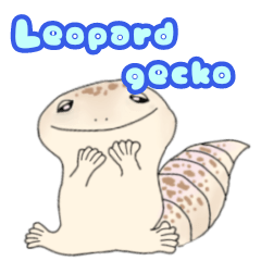 [LINEスタンプ] かわいいヒョウモントカゲモドキのスタンプ