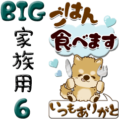 [LINEスタンプ] 【Big】ちゃちゃ丸 6『家族連絡用』