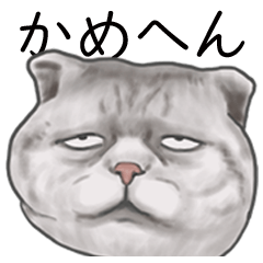 [LINEスタンプ] 大阪の猫たちです