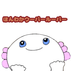 [LINEスタンプ] ほんわかウーパーちゃん -関西弁-
