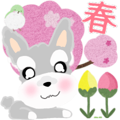 [LINEスタンプ] (春)ふんわり癒されシュナウザー
