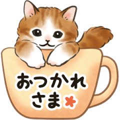 毎日 猫たちのスタンプ Lineスタンプ Erimari