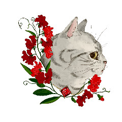 [LINEスタンプ] 猫ちゃん×お花のお誕生日スタンプ