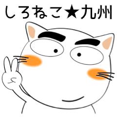 [LINEスタンプ] しろねこ★全ての会社員に捧ぐ