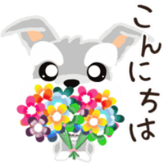 [LINEスタンプ] (うごく)ふんわり癒されシュナウザー