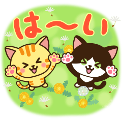 [LINEスタンプ] さわやか♪ねこまみれの日常・挨拶