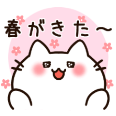 [LINEスタンプ] 春を楽しむ白猫ちゃん