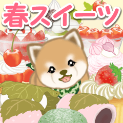 [LINEスタンプ] よちよち豆柴と春スイーツ