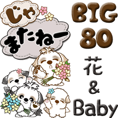 [LINEスタンプ] 【Big】シーズー犬 80『Baby ＆ 花』