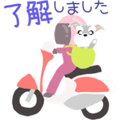 [LINEスタンプ] 飛び出すふんわり 癒され シュナウザー