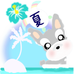 [LINEスタンプ] (夏)ふんわり癒されシュナウザー