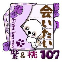 [LINEスタンプ] シーズー犬 107『桃色と紫色』
