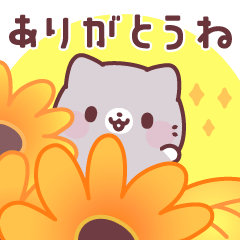 [LINEスタンプ] しろたびにゃん♪飛び出して動くスタンプの画像（メイン）