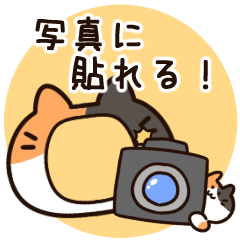 [LINEスタンプ] 写真に貼れる！コスプレにゃんこスタンプ