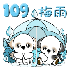 [LINEスタンプ] シーズー犬 109『5月・6月＆梅雨』の画像（メイン）