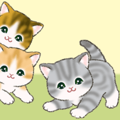 [LINEスタンプ] まんまるチビ猫たちの毎日
