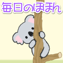 [LINEスタンプ] だる～いコアラ 毎日のほほん