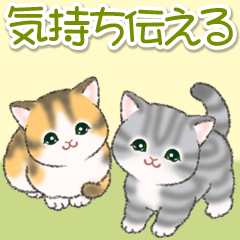 [LINEスタンプ] 気持ち伝える まんまるチビ猫たち